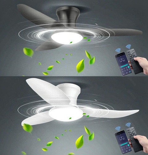 Low profile ceiling fan with - profile,